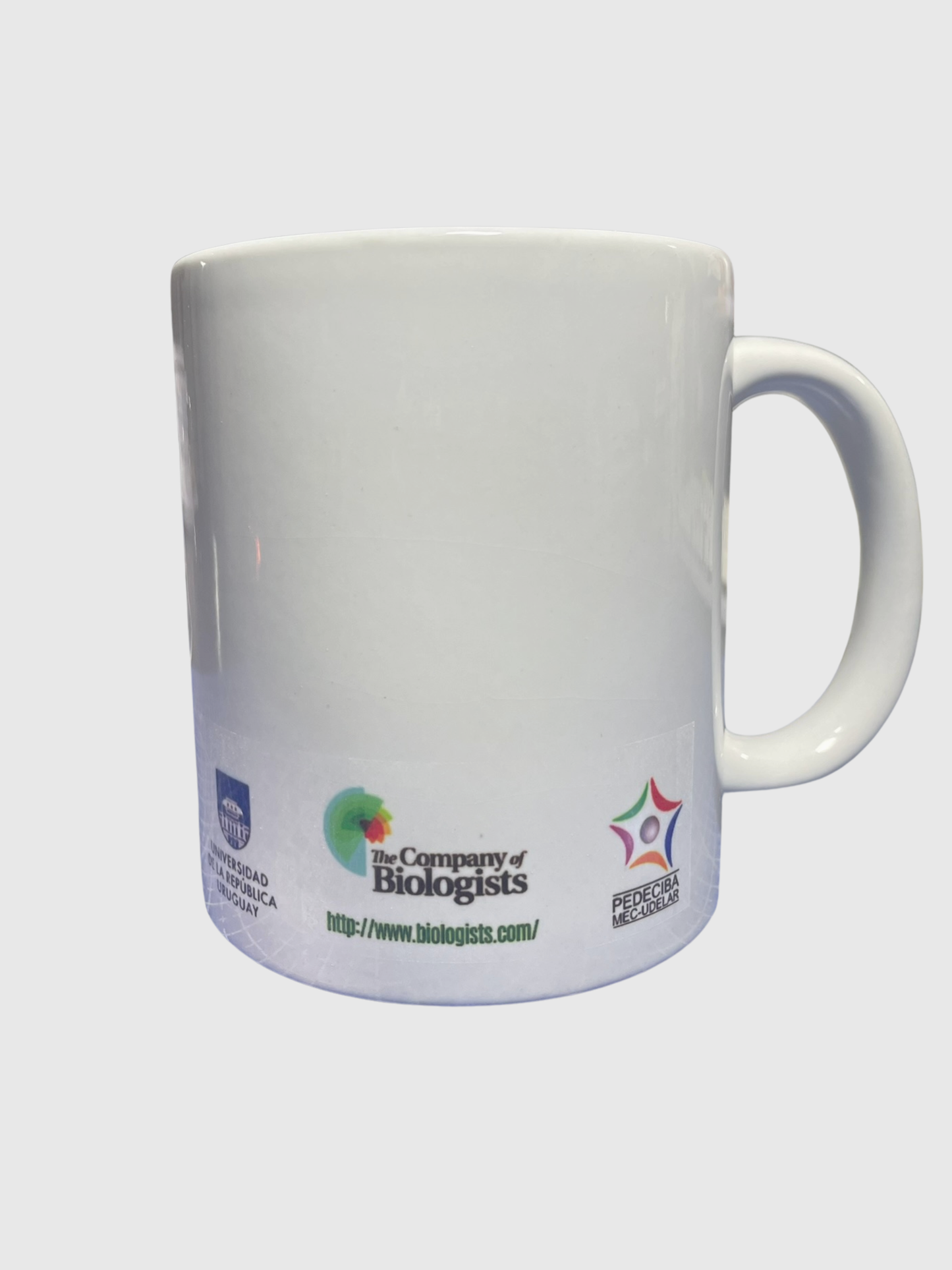 Taza personalizada